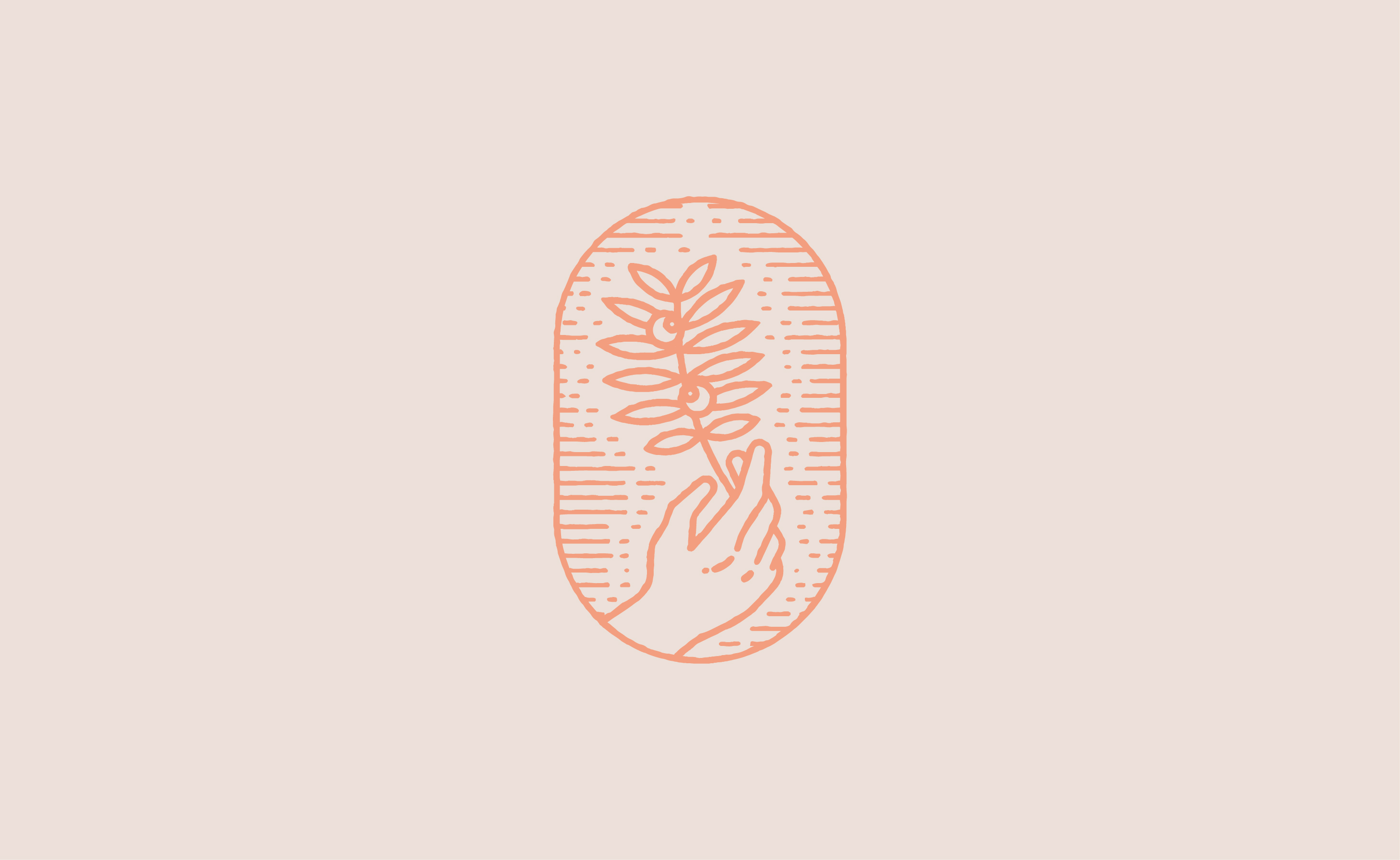 design du logotype pour la marque de cosmétiques bio ninsare